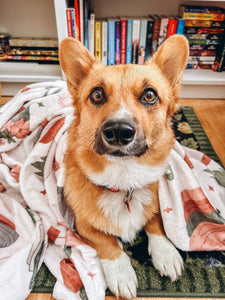 Bookish Blanket